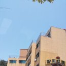 리조텔별관 네이버블로그