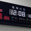 포레브동물의료센터 이미지