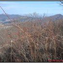 백두목장 이미지