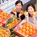 영암농협하나로마트 이미지