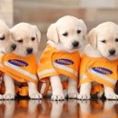 옹기종기 이미지