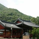 바람달
