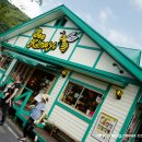 꿀벌(Honey B 이미지