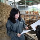 최소영농장 이미지