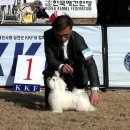 그리시아 화이트 매직 이미지