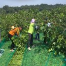 공음면사무소 이미지