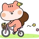 청국장과흙두부 이미지