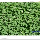 산외중학교 이미지