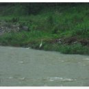 엘리시아펜션 이미지