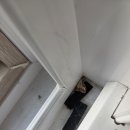 금강파크 | 덕계역금강펜테리움 센트럴파크 이사청소후기