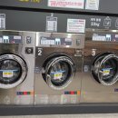 용담 세탁 이미지