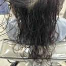 동현미용실 | 신촌 미용실 추천 : 리소헤어 신촌점 클리닉 후기