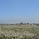 동민목장 이미지