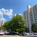 돌마초등길 이미지