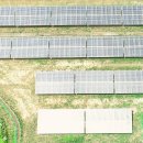 써니발전소 이미지