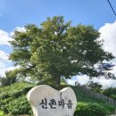 홍동면 신촌마을회관 이미지