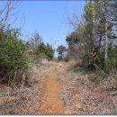 경기둘레길 안산49코스 이미지