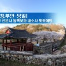 고창하나여행사
