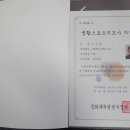 카이로 바른 척추교정 이미지