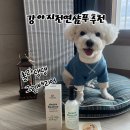 스프링댕댕 | [후기] 강아지천연샴푸 훌라댕댕 그린배리어