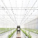 매일농장 이미지