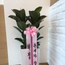 본도시락(마곡점) 이미지