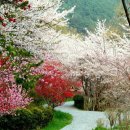 부천상동도서관 이미지