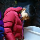 참살이영농조합법인 이미지