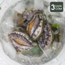 바다야 밥 먹자 이미지