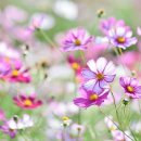 완산노인복지관 이미지