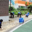 바르게살기공원 앞 이미지