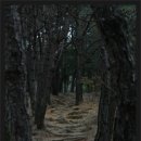 진주 정설 부부 묘 티스토리