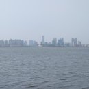 배곧생명공원 이미지