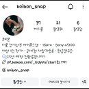 코이본스냅 계약 후기🤎 : 믿을만한 본식 아이폰스냅 KOIBON스냅 추천🤍 여성1인작가 안산아이폰스냅 25년...