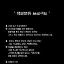 게으른고양이 이미지