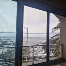 위미그라스 이미지