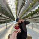 청량농장 | [경기/김포] 아이랑 함께 딸기농장 체험 김포 양촌읍에 위치한 “앙팡딸기체험농장” 내돈내산 솔직후기