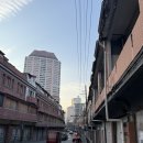 랜드/지엔삥/점도덕/마라반/홍미창펀/그랜드마더/예원/아마수작밀크티/와이탄/동방명주/따룬파/하미과/망고