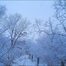 삼가-21 이미지