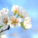 용마산공인중개사사무소 네이버블로그