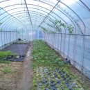 솔마루펜션 이미지