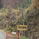 화인ST - 달서구 구마로10길 26 | 옥천 메타세쿼이아 숲 추천, 트와일라잇 st, “화인 산림욕장“후기
