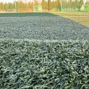 아주풋살장 | [대전 풋살장] 유성풋살 구장 후기! (잔디 상태, 주차 꿀팁)