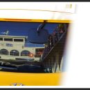 신도초등 이미지