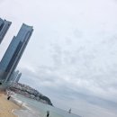 폴에이리조트 해운대 이미지