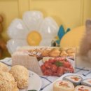 냥냥쩝쩝 이미지