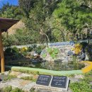 마루펜션&리조트 이미지