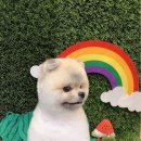 퐁키살롱 이미지