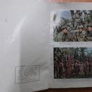 대한홍보사