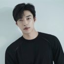 베르트본태 네이버블로그